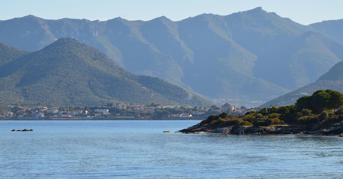 A Guide to Gourmet Plant-Based Dishes in Byron Bay