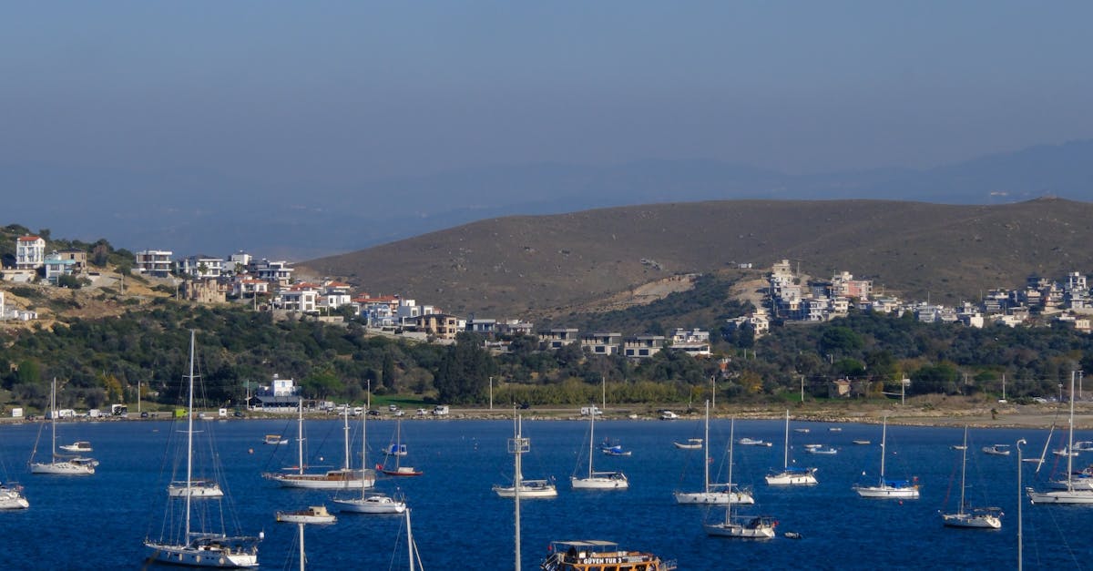 A Journey Through Local Wines: Pairing Australian Varietals with Byron Bay Dishes