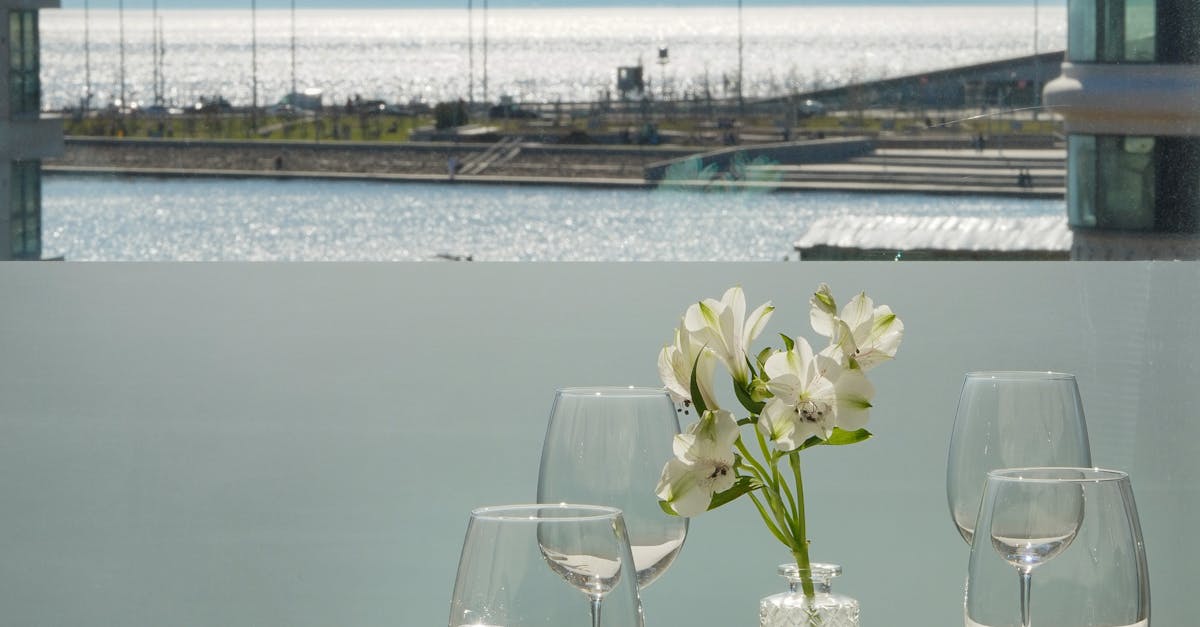 Artistry on a Plate: Byron Bay's Top Modern Australian Chefs