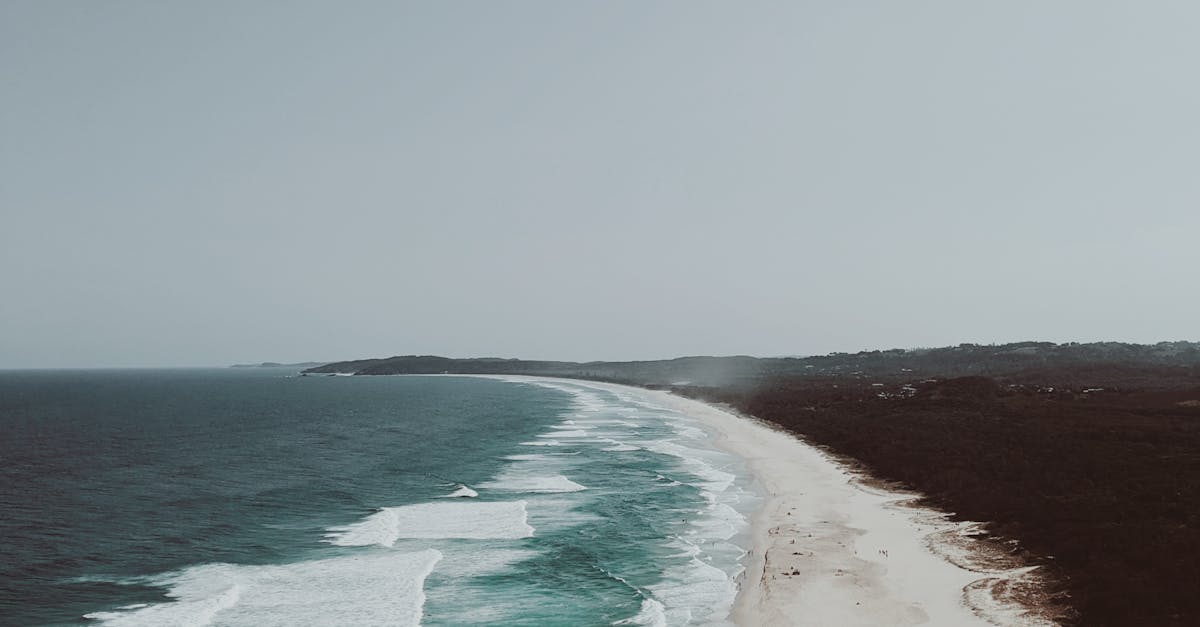 Breezy Beachside Seafood: Must-Try Spots in Byron Bay