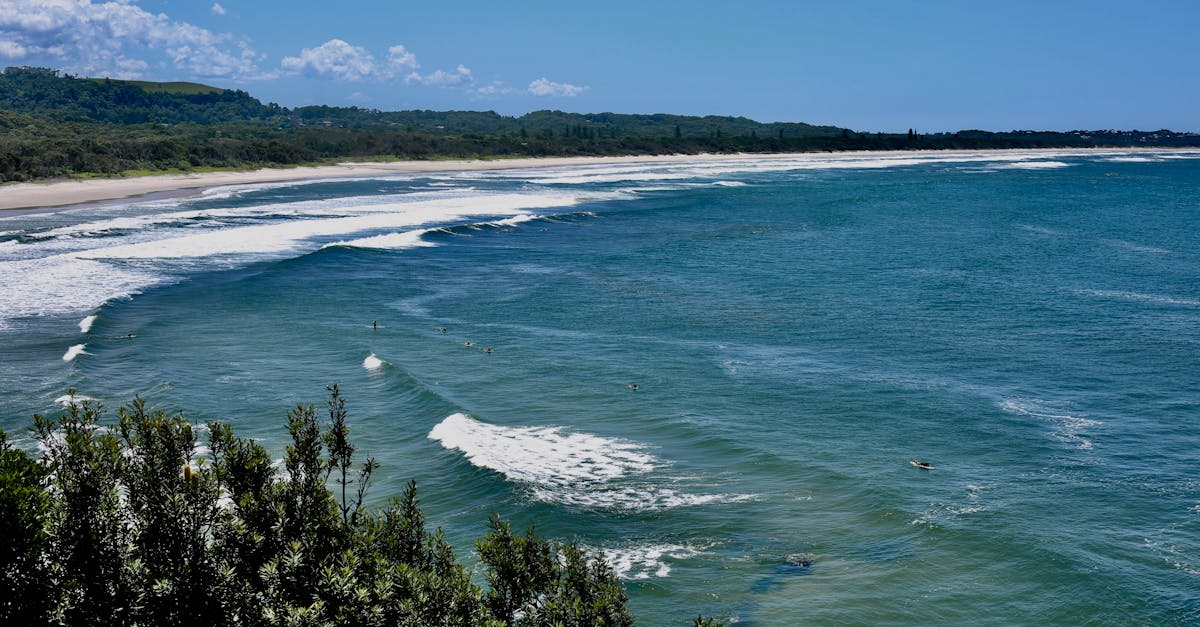 Charming Boardwalk Bites: Seafood Eateries by the Beach