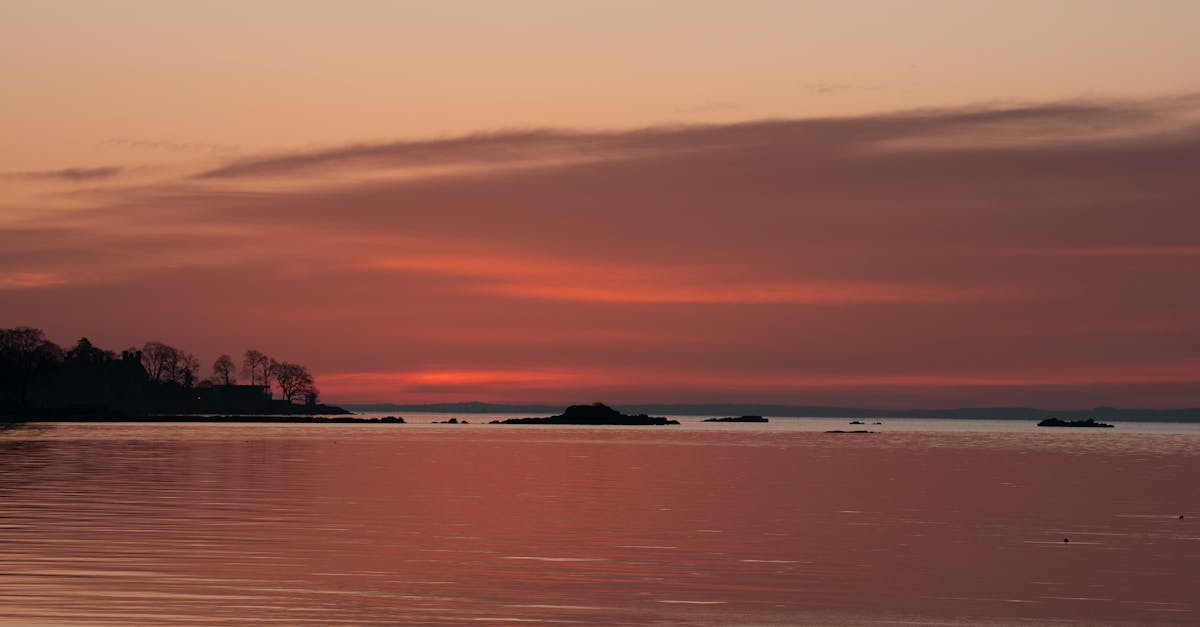 Chill Vibes: Casual Eateries with Outdoor Options in Byron Bay