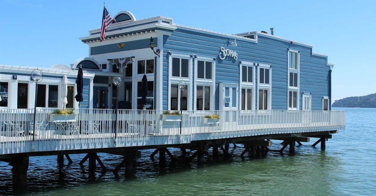 Discover the Most Welcoming Cafés for Pets in Byron Bay