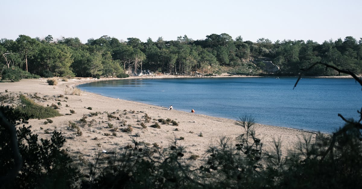 Discovering Unique Wine Pairings for Byron Bay's Gourmet Seafood