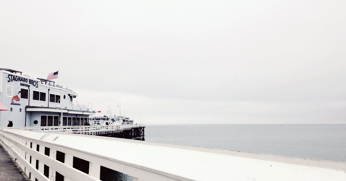 Elevating Vegetarian Cuisine: Byron Bay's Exclusive Restaurants