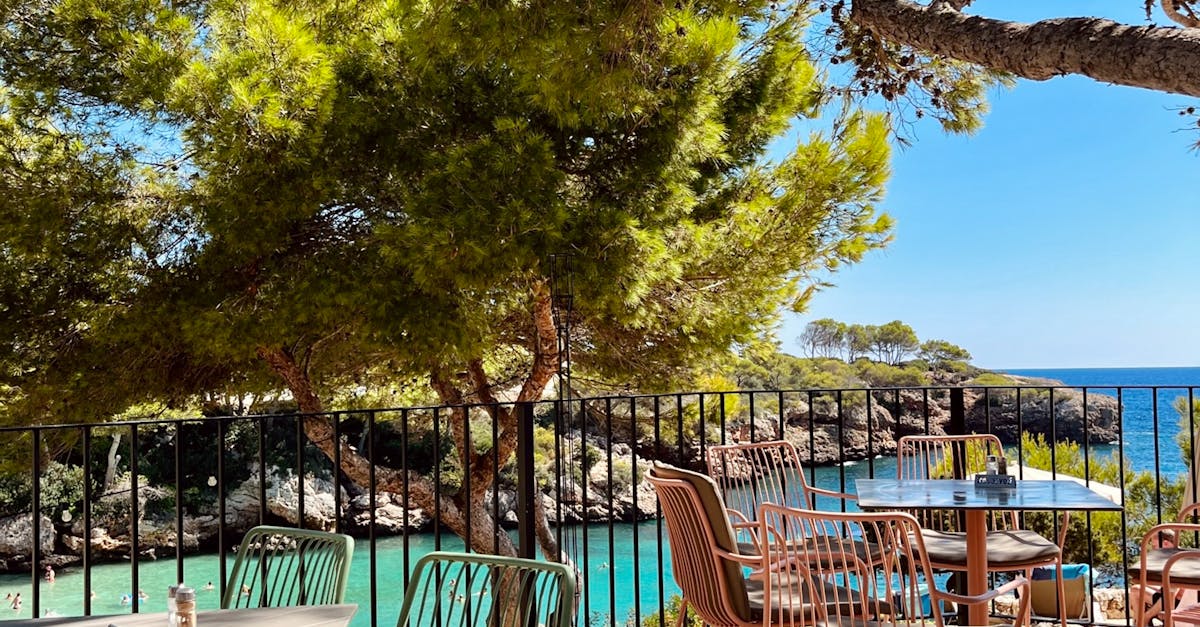 Embracing Nature: Outdoor Experiences at Byron Bay Cafés