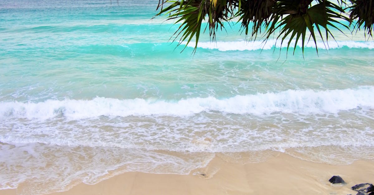 Exploring the Perfect Wine Matches for Byron Bay's Coastal Flavours