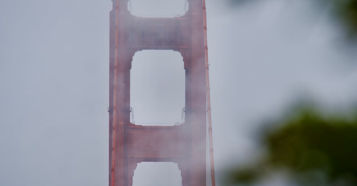Nourishing Coastal Flavours: Health-Conscious Cafés by the Beach in Byron Bay