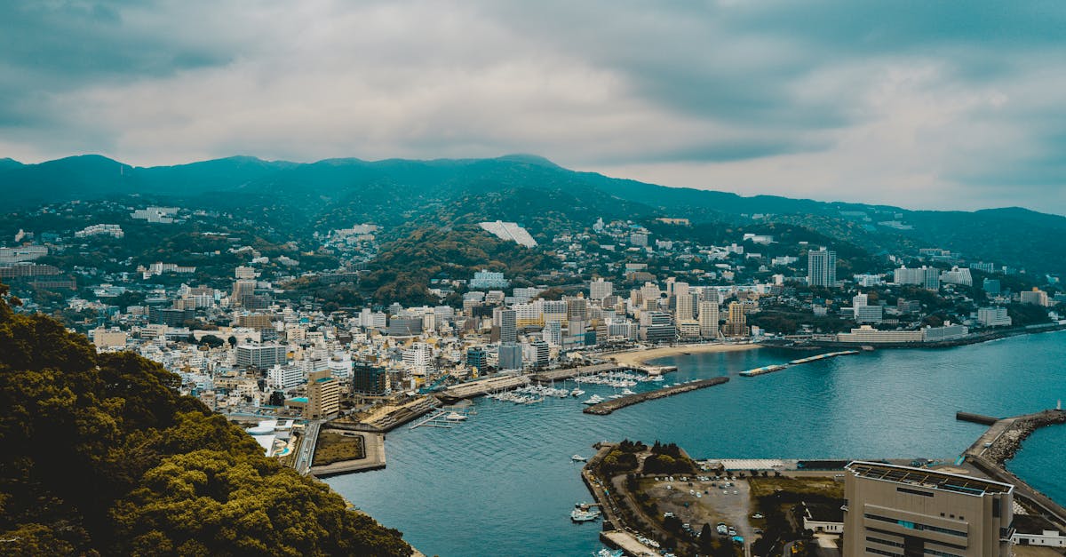 Seasonal Delights: Lush Ingredients in Byron Bay's Fine Dining