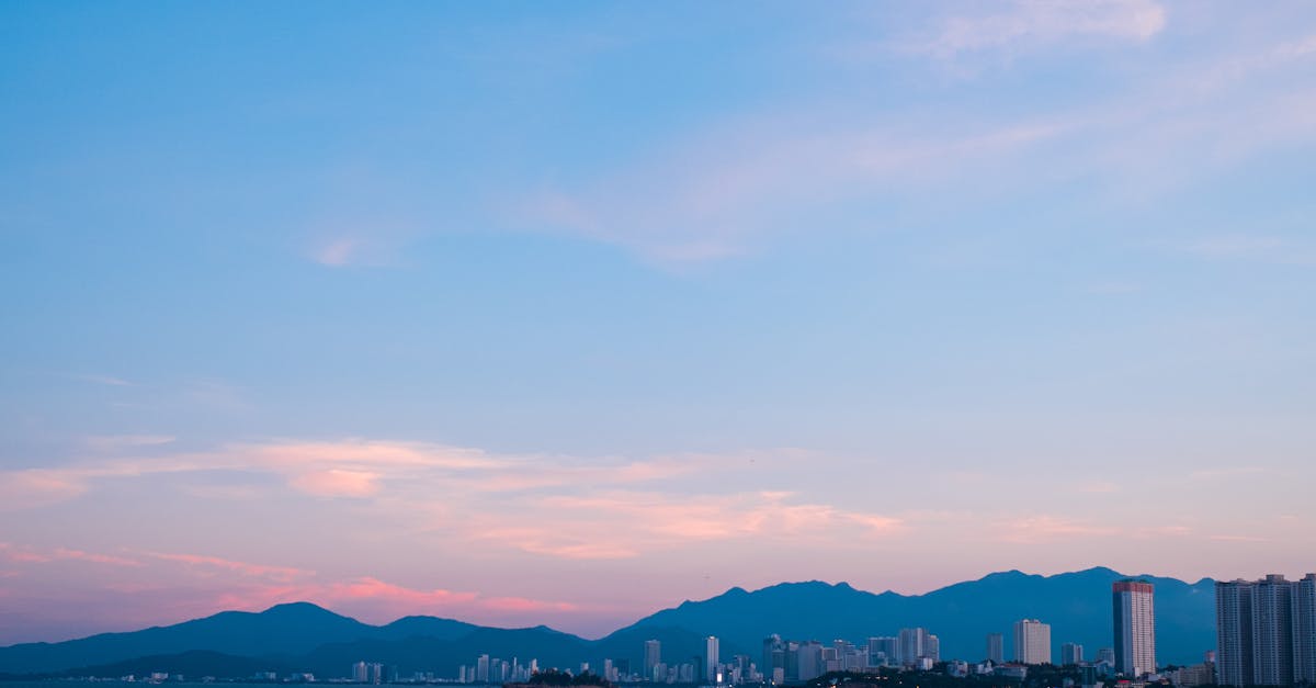 Sourcing Local Ingredients for Vegan Fine Dining in Byron Bay