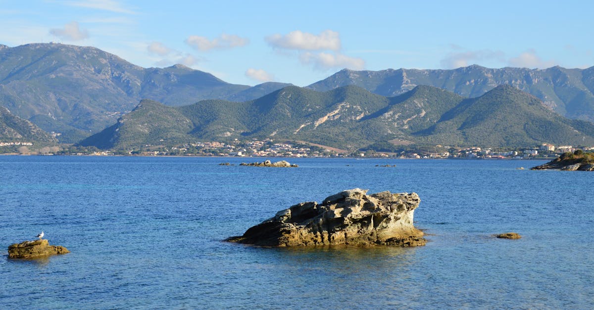 The Art of Seafood Plating in Byron Bay's Fine Dining Scene