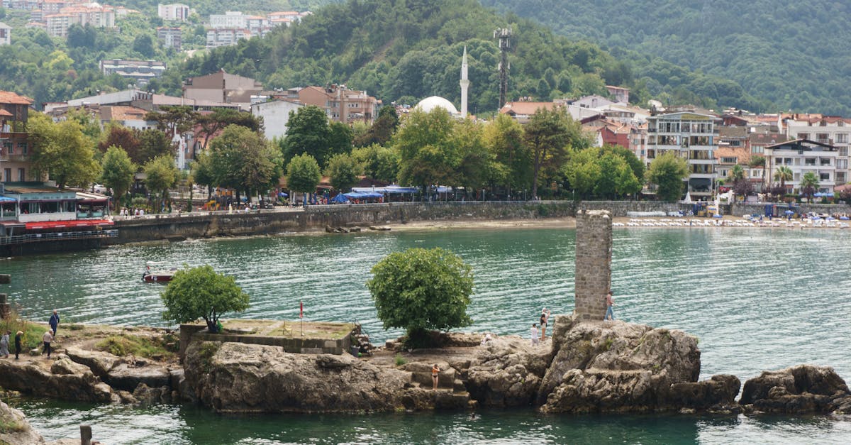 The Role of Terroir: How Byron Bay's Landscape Influences Wine Pairings