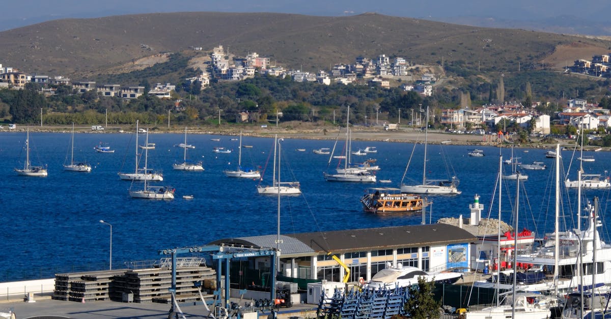 Top 10 Pet-Friendly Cafés in Byron Bay for the Perfect Day Out